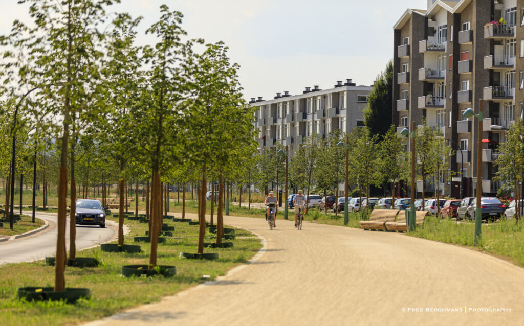 Groene Loper: Gescheiden pad?